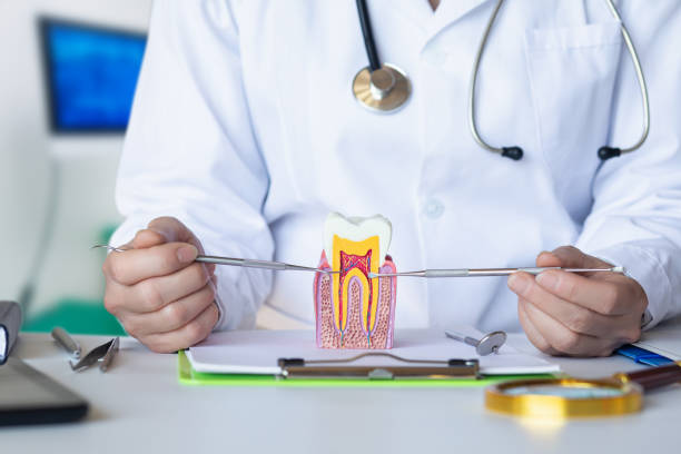Best Emergency Dental Extractions in Madison Heights, MI